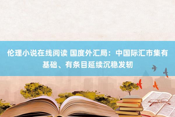 伦理小说在线阅读 国度外汇局：中国际汇市集有基础、有条目延续沉稳发轫