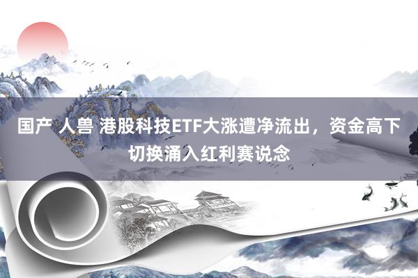 国产 人兽 港股科技ETF大涨遭净流出，资金高下切换涌入红利赛说念