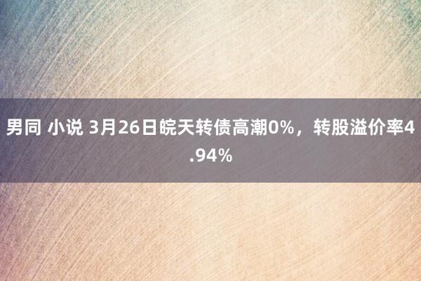 男同 小说 3月26日皖天转债高潮0%，转股溢价率4.94%