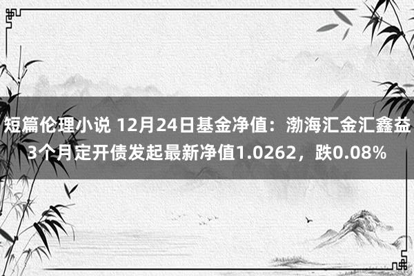 短篇伦理小说 12月24日基金净值：渤海汇金汇鑫益3个月定开债发起最新净值1.0262，跌0.08%