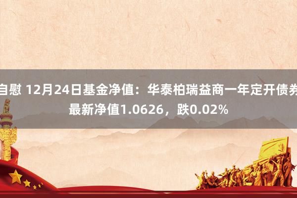 自慰 12月24日基金净值：华泰柏瑞益商一年定开债券最新净值1.0626，跌0.02%