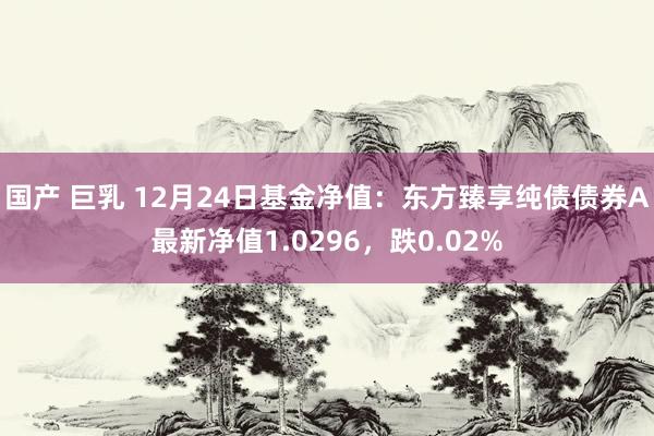 国产 巨乳 12月24日基金净值：东方臻享纯债债券A最新净值1.0296，跌0.02%