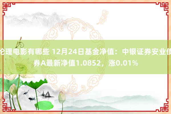 伦理电影有哪些 12月24日基金净值：中银证券安业债券A最新净值1.0852，涨0.01%