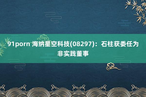 91porn 海纳星空科技(08297)：石柱获委任为非实践董事