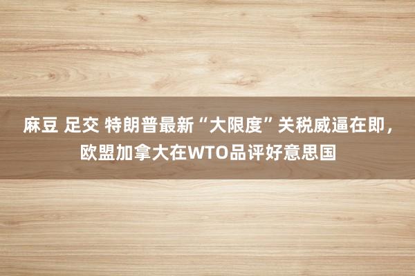 麻豆 足交 特朗普最新“大限度”关税威逼在即，欧盟加拿大在WTO品评好意思国