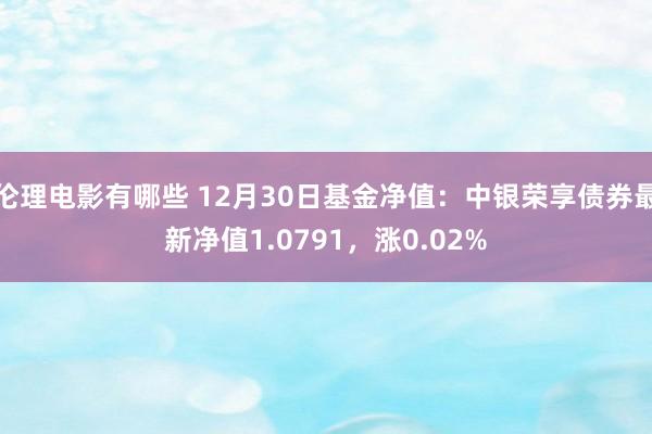伦理电影有哪些 12月30日基金净值：中银荣享债券最新净值1.0791，涨0.02%