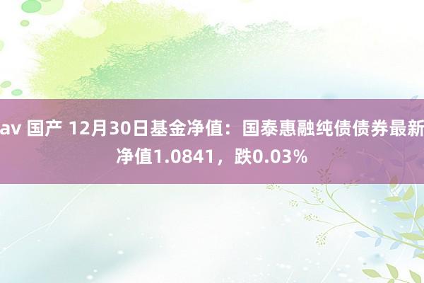 av 国产 12月30日基金净值：国泰惠融纯债债券最新净值1.0841，跌0.03%