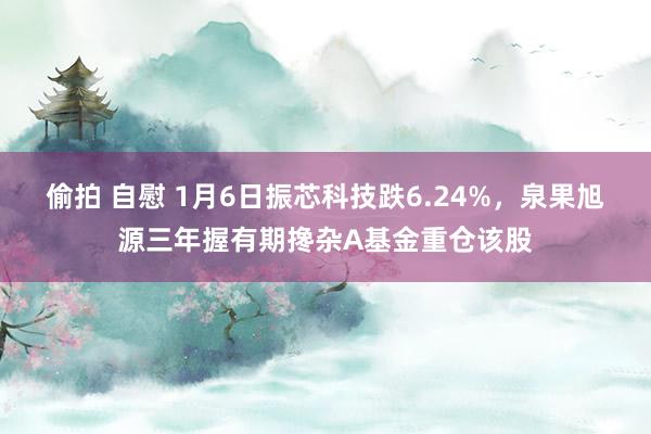 偷拍 自慰 1月6日振芯科技跌6.24%，泉果旭源三年握有期搀杂A基金重仓该股