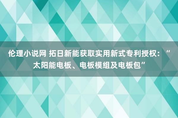 伦理小说网 拓日新能获取实用新式专利授权：“太阳能电板、电板模组及电板包”