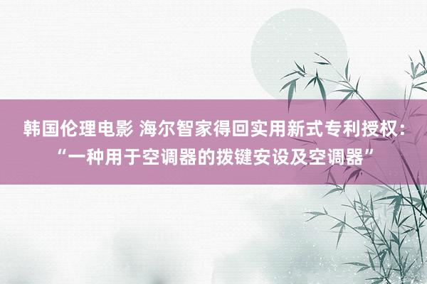 韩国伦理电影 海尔智家得回实用新式专利授权：“一种用于空调器的拨键安设及空调器”