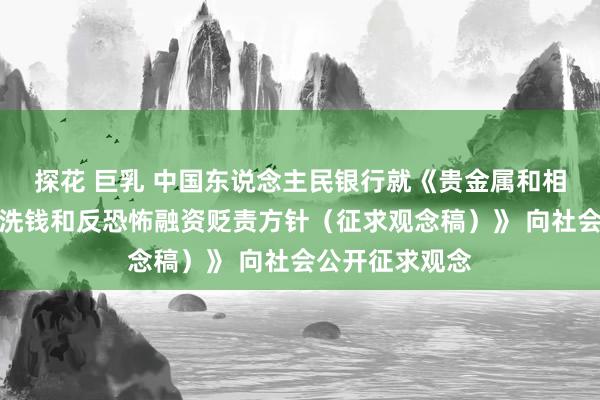 探花 巨乳 中国东说念主民银行就《贵金属和相持从业机构反洗钱和反恐怖融资贬责方针（征求观念稿）》 向社会公开征求观念