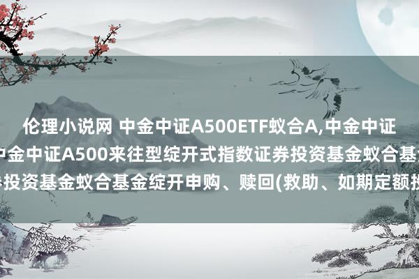 伦理小说网 中金中证A500ETF蚁合A,中金中证A500ETF蚁合C: 对于中金中证A500来往型绽开式指数证券投资基金蚁合基金绽开申购、赎回(救助、如期定额投资)业务的公告