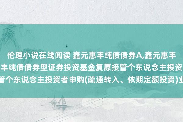 伦理小说在线阅读 鑫元惠丰纯债债券A,鑫元惠丰纯债债券C: 对于鑫元惠丰纯债债券型证券投资基金复原接管个东说念主投资者申购(疏通转入、依期定额投资)业务的公告