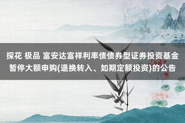 探花 极品 富安达富祥利率债债券型证券投资基金暂停大额申购(退换转入、如期定额投资)的公告