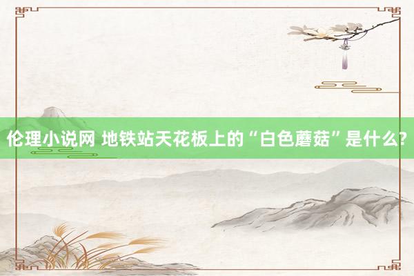 伦理小说网 地铁站天花板上的“白色蘑菇”是什么?