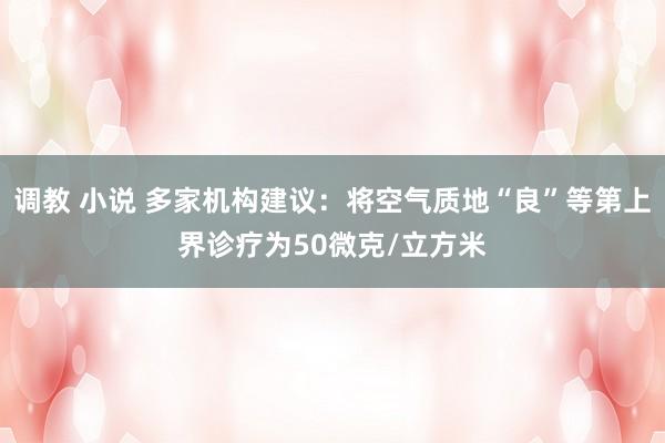 调教 小说 多家机构建议：将空气质地“良”等第上界诊疗为50微克/立方米