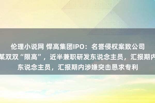 伦理小说网 悍高集团IPO：名誉侵权案致公司及实控东说念主欧某双双“限高”，近半兼职研发东说念主员，汇报期内涉嫌突击恳求专利
