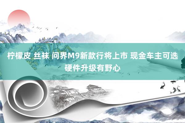 柠檬皮 丝袜 问界M9新款行将上市 现金车主可选硬件升级有野心