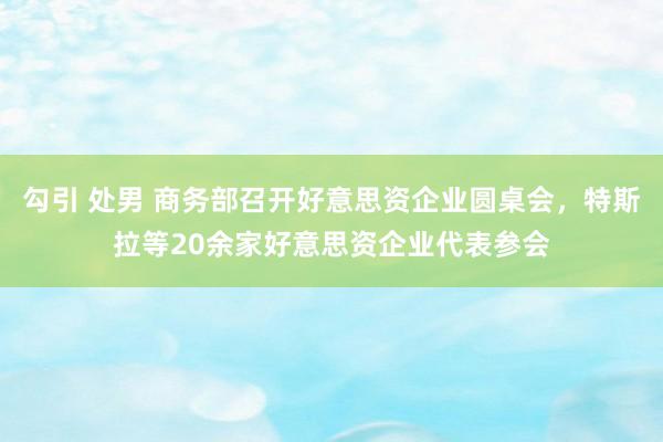 勾引 处男 商务部召开好意思资企业圆桌会，特斯拉等20余家好意思资企业代表参会