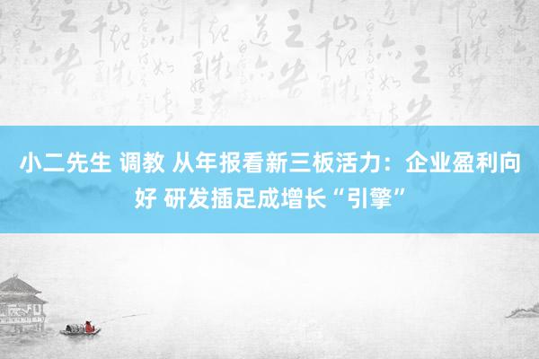 小二先生 调教 从年报看新三板活力：企业盈利向好 研发插足成增长“引擎”