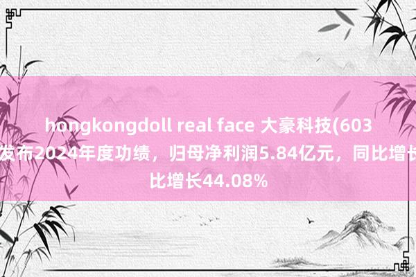 hongkongdoll real face 大豪科技(603025.SH)发布2024年度功绩，归母净利润5.84亿元，同比增长44.08%