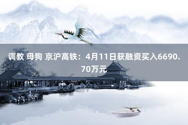调教 母狗 京沪高铁：4月11日获融资买入6690.70万元