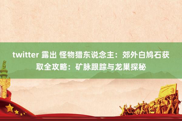 twitter 露出 怪物猎东说念主：郊外白鸠石获取全攻略：矿脉跟踪与龙巢探秘