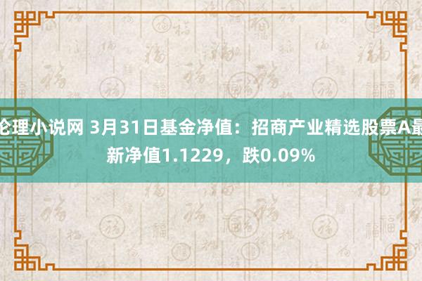 伦理小说网 3月31日基金净值：招商产业精选股票A最新净值1.1229，跌0.09%