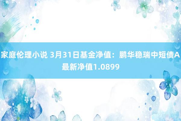 家庭伦理小说 3月31日基金净值：鹏华稳瑞中短债A最新净值1.0899
