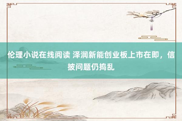 伦理小说在线阅读 泽润新能创业板上市在即，信披问题仍捣乱
