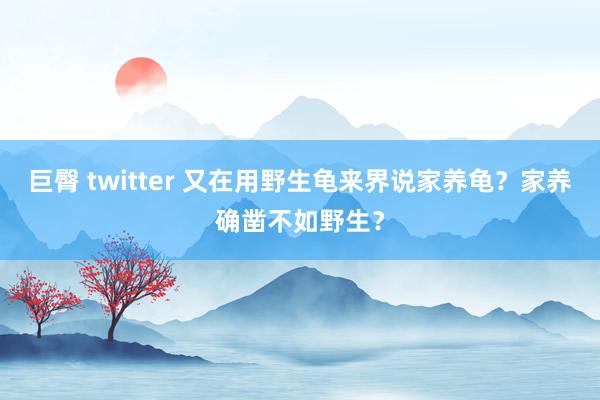 巨臀 twitter 又在用野生龟来界说家养龟？家养确凿不如野生？