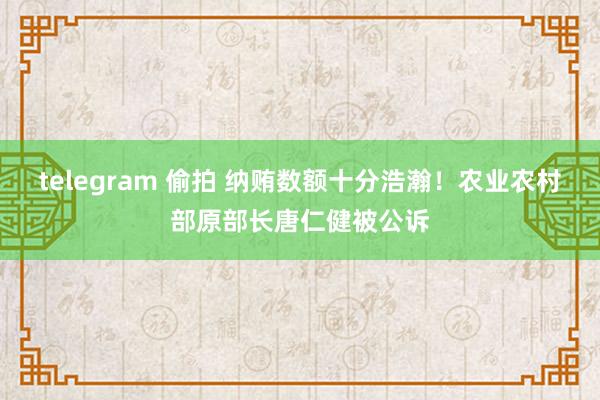 telegram 偷拍 纳贿数额十分浩瀚！农业农村部原部长唐仁健被公诉