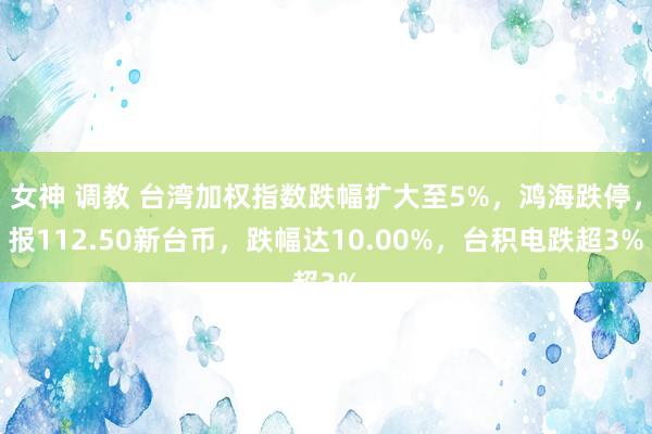女神 调教 台湾加权指数跌幅扩大至5%，鸿海跌停，报112.50新台币，跌幅达10.00%，台积电跌超3%