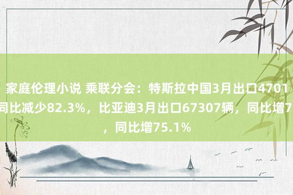 家庭伦理小说 乘联分会：特斯拉中国3月出口4701辆，同比减少82.3%，比亚迪3月出口67307辆，同比增75.1%