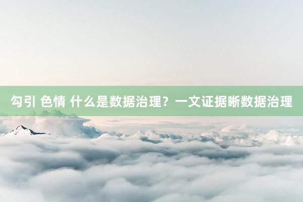 勾引 色情 什么是数据治理？一文证据晰数据治理