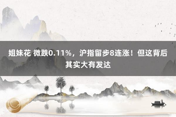姐妹花 微跌0.11%，沪指留步8连涨！但这背后其实大有发达