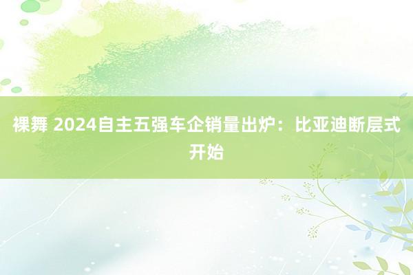 裸舞 2024自主五强车企销量出炉：比亚迪断层式开始