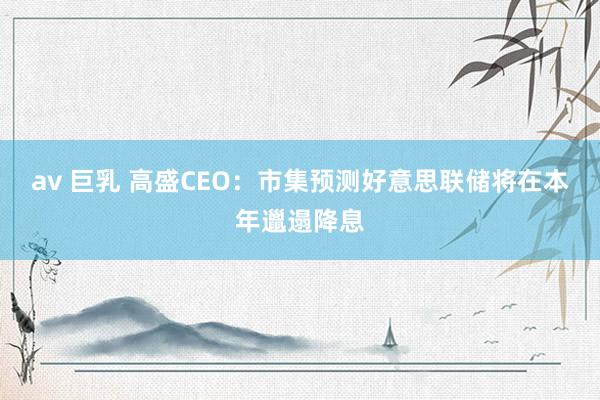 av 巨乳 高盛CEO：市集预测好意思联储将在本年邋遢降息