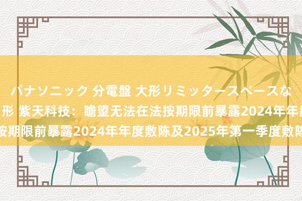 パナソニック 分電盤 大形リミッタースペースなし 露出・半埋込両用形 紫天科技：瞻望无法在法按期限前暴露2024年年度敷陈及2025年第一季度敷陈