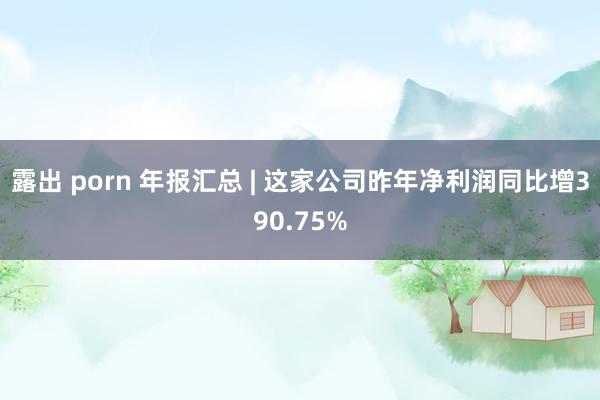 露出 porn 年报汇总 | 这家公司昨年净利润同比增390.75%
