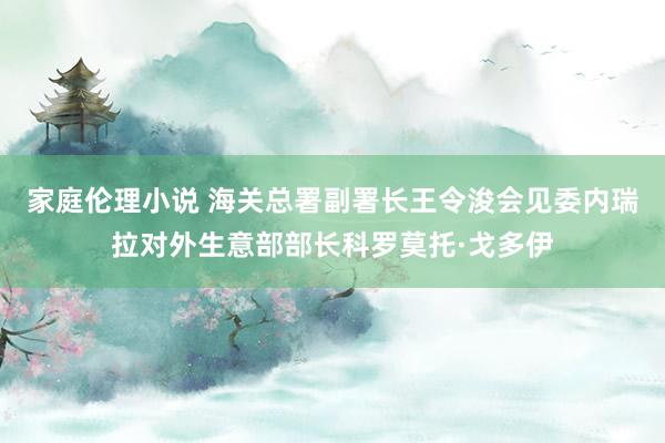 家庭伦理小说 海关总署副署长王令浚会见委内瑞拉对外生意部部长科罗莫托·戈多伊